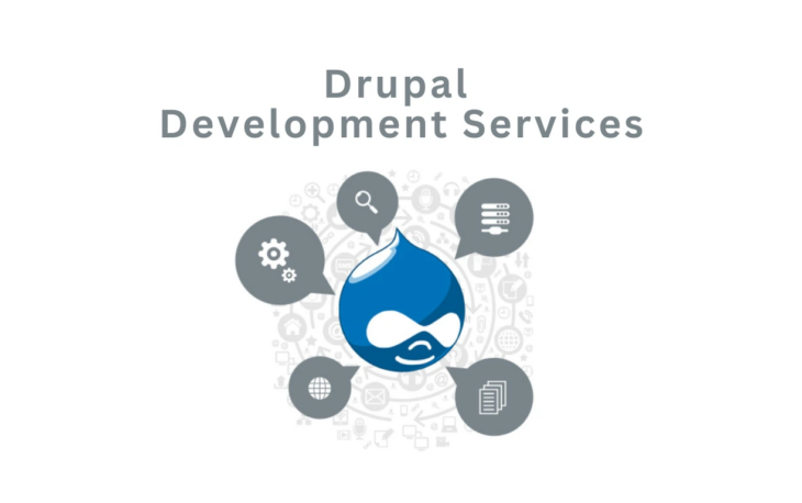 Drupal Development