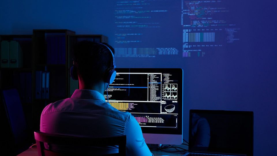 Website Developer